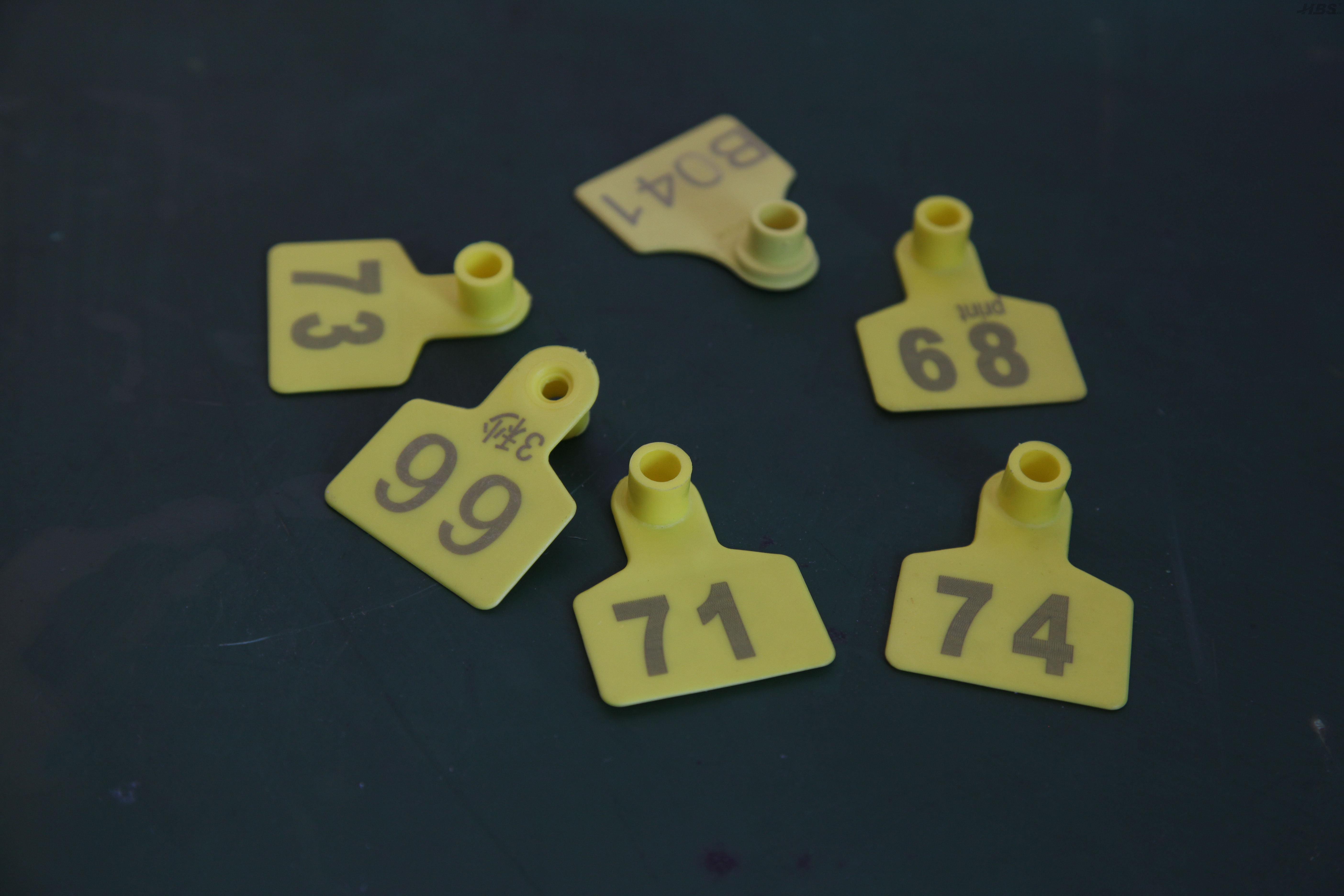 Sistema l&aacute;ser de CO2 